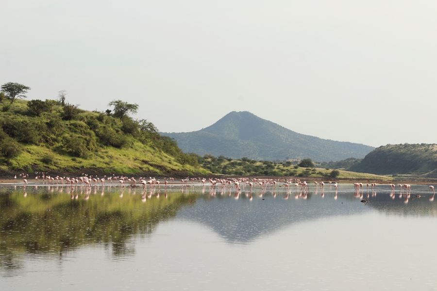 Lake-Magadi-flamingos-mountain-hot-spring-hidden-gems-Kenya-Shidovu-Adventures